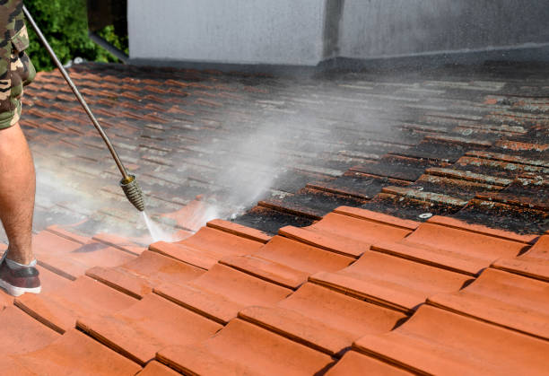 Best Commercial Building Pressure Washing  in Port Wentworth, GA